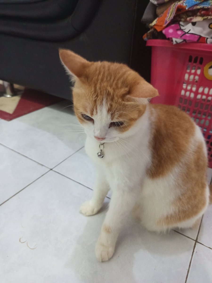 pinepchie's tweet image. muka segemes ini sariawan? apa karna sering tak kokop ya? #mffdorisayang #gwsnacksyantik