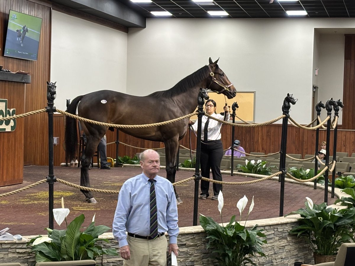 Keri Radcliffe makes second seven-figure bid of Spring sale, going to $1.05 million for son of Nyquist consigned by Robbie Harris.