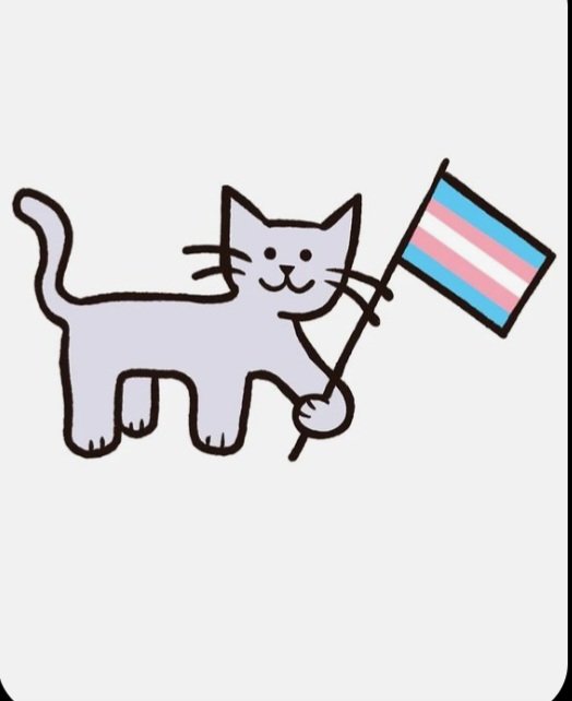 Today more than ever, I am a #TransAlly. #TransRightsAreHumanRights 🏳️‍⚧️