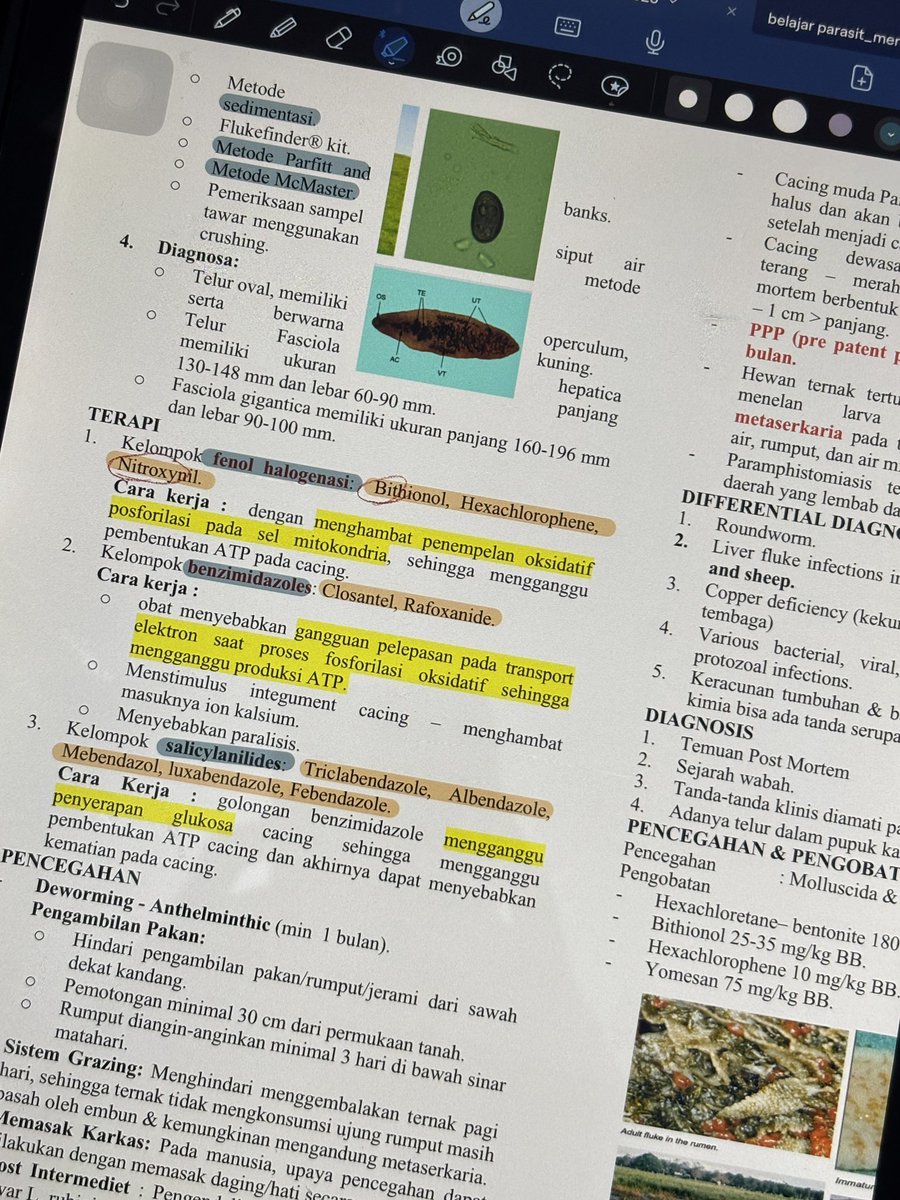 sunseadt's tweet photo. parasitology 😖 https://t.co/PX4kMMUVvr