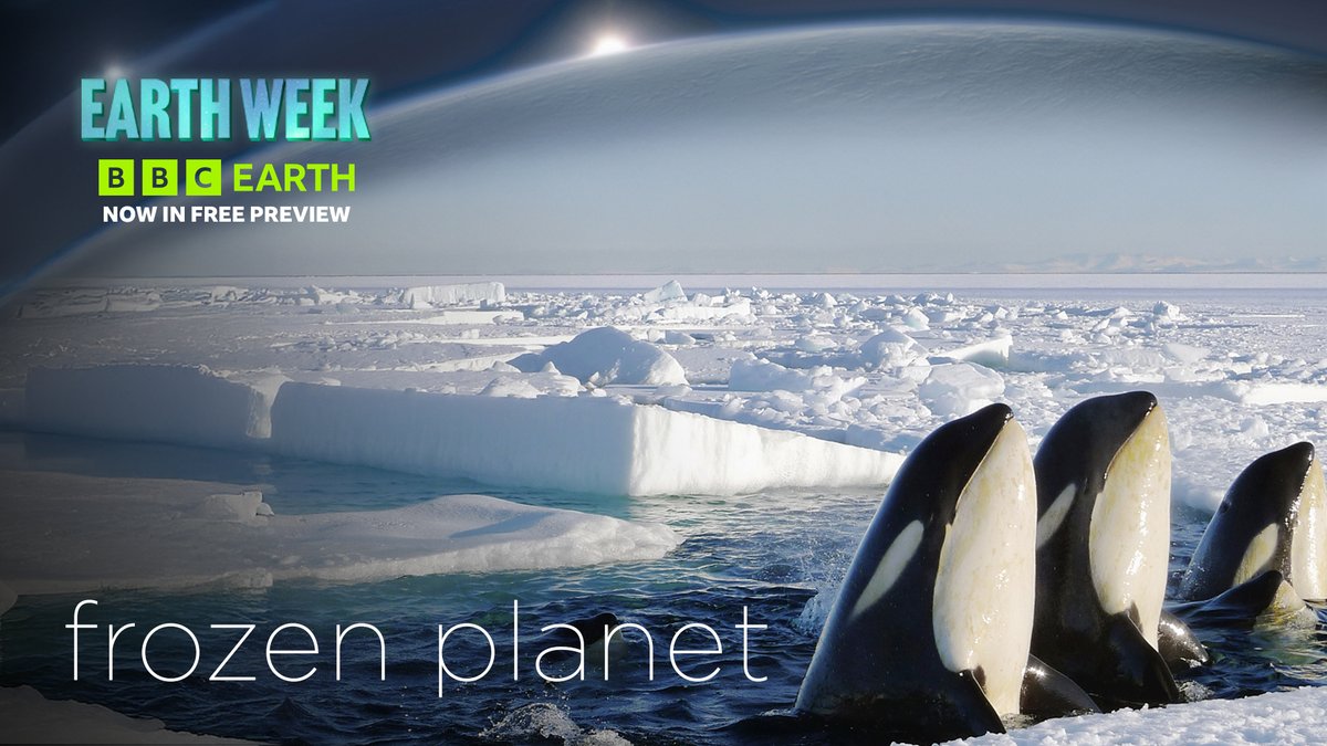 BBC Earth Canada tweet media