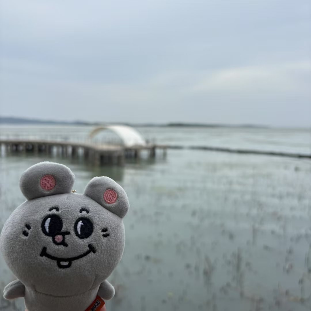 带鼠鼠看太湖