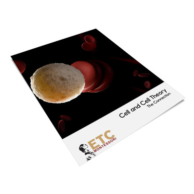 More New Materials for Middle Schools - eepurl.com/jcHzd6