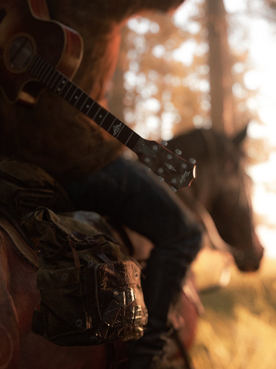 Future Days
#TheLastofUsPartII #PSshare #PSBlog
