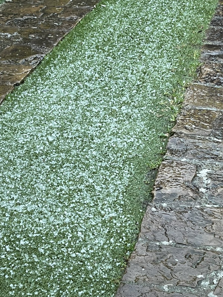 MeteoMoià tweet media