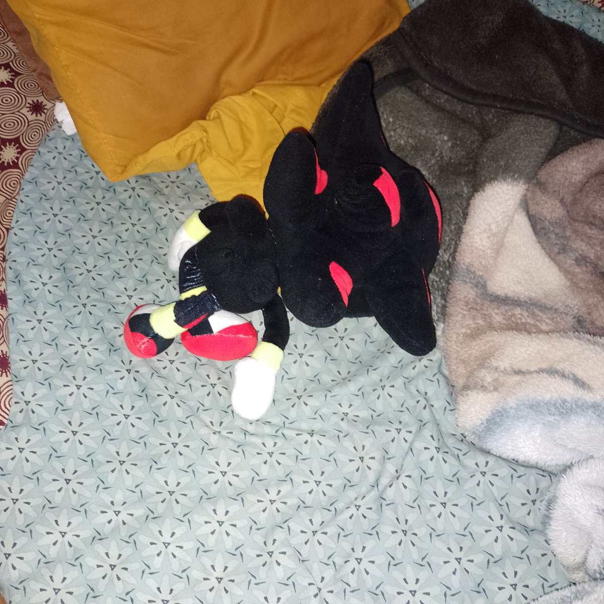 Wheres_Shadow's tweet photo. I just went to my room and found him like that 😭 https://t.co/sYuPEJz0QN