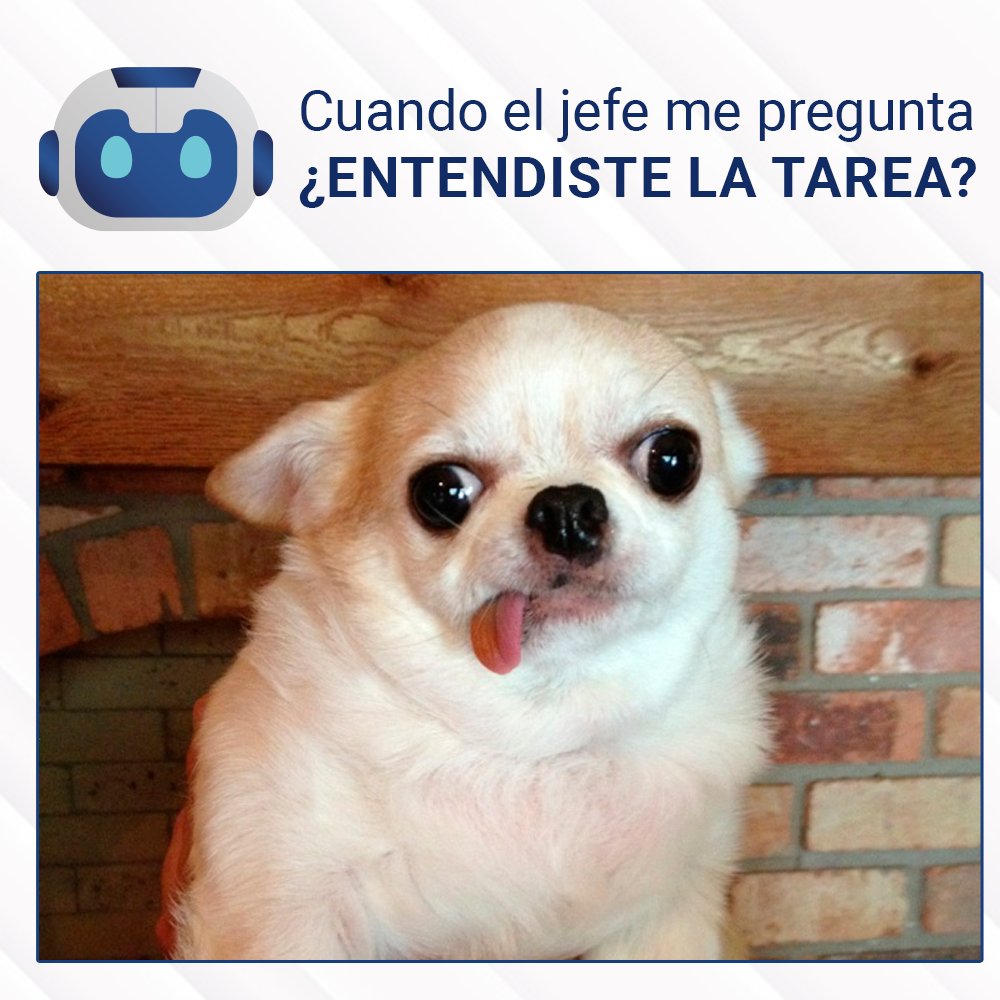 AutomataDg20's tweet photo. Cuando te asignan tareas cuando ya es hora de salida... https://t.co/9vyttrcKJb
