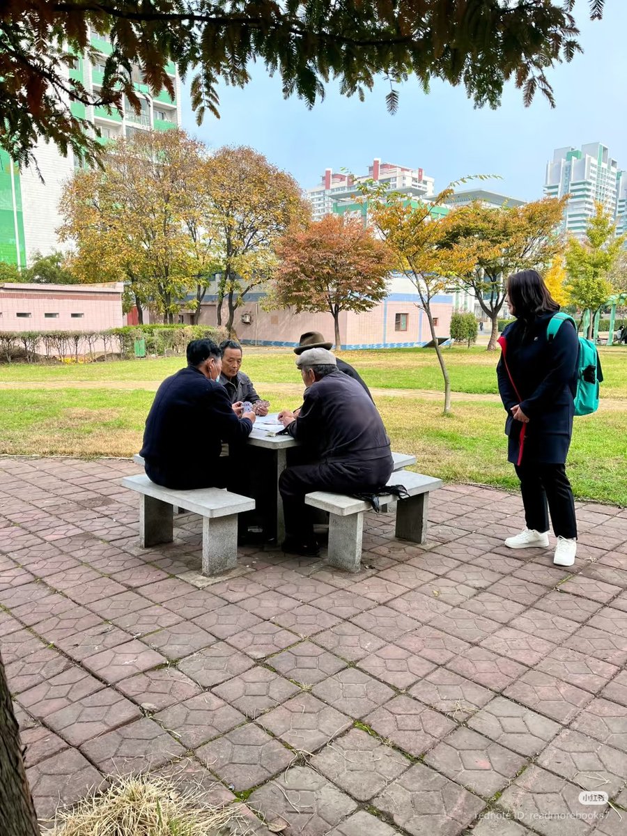What do elderly people in North Korea usually do? 🇰🇵

Elderly men in North Korea  often spend their time playing chess, cards, or badminton 🏸 together in parks or by the roadside