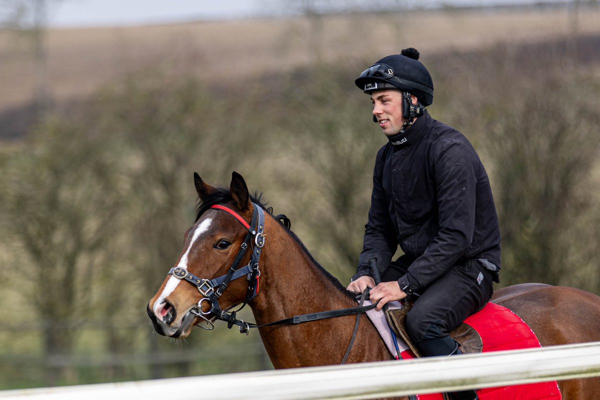 Another youngster learning the ropes at Vicarage Farm 🐎

#VFPT #VicarageFarm #HorseRacing