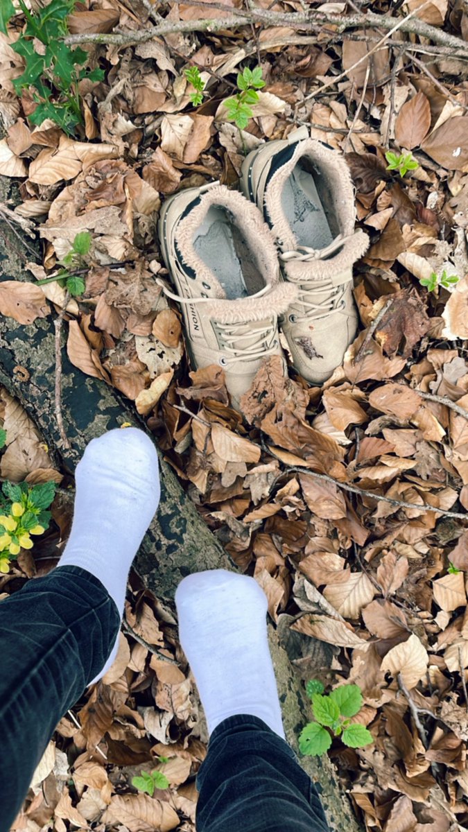 Ivi Steps (@ivisteps) on Twitter photo Shall we take a trip to the woods? Will you bring a blanket, or would you rather kneel in the thick leaves?
<a href="/feetpuppy90/">footboy69</a>
<a href="/feetandsoles5/">๐ฃfeetandsoles ๐ด๓ ง๓ ข๓ ฅ๓ ฎ๓ ง๓ ฟ๐ฃ 17. 5k ๐ฃ</a>
<a href="/feetloverderre1/">feetloverderreck</a>
<a href="/FootParadiseRT/">#FootParadise RT Group</a>
<a href="/CuriousFindomme/">FinDomme curious</a>
<a href="/HerSexyFeet/">๐ฃ Her Sexy Feet ๐ฃ</a>
<a href="/user385u/">RT Findom & Feet models</a>
<a href="/repostfeet/">REPOST ๐ฃ FEET</a>
<a href="/SolesFeet_rt/">Soles Feet ๐ฃ | RT</a>
@RTforeverRT Shall we take a trip to the woods? Will you bring a blanket, or would you rather kneel in the thick leaves?
<a href="/feetpuppy90/">footboy69</a>
<a href="/feetandsoles5/">๐ฃfeetandsoles ๐ด๓ ง๓ ข๓ ฅ๓ ฎ๓ ง๓ ฟ๐ฃ 17. 5k ๐ฃ</a>
<a href="/feetloverderre1/">feetloverderreck</a>
<a href="/FootParadiseRT/">#FootParadise RT Group</a>
<a href="/CuriousFindomme/">FinDomme curious</a>
<a href="/HerSexyFeet/">๐ฃ Her Sexy Feet ๐ฃ</a>
<a href="/user385u/">RT Findom & Feet models</a>
<a href="/repostfeet/">REPOST ๐ฃ FEET</a>
<a href="/SolesFeet_rt/">Soles Feet ๐ฃ | RT</a>
@RTforeverRT