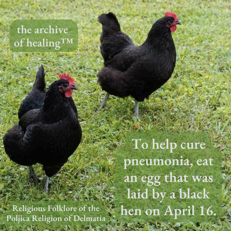 ArchiveHealing's tweet photo. 🐓 🖤 🤒 

If you haven't already, please register with us at https://t.co/6Pe5EsQ5Cw to discover global healing knowledge. ⁠
⁠
#medicalhumanities #medicalanthropology #health #healing #publicarchive #wellness #medicine #blackhens #eggs #pneumonia #April #April16 #cure https://t.co/K8iuOnj2xj