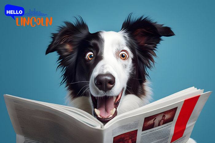 Get your news online at hellolincoln.co.uk
Tell us your news at newsdesk@hellolincoln.co.uk