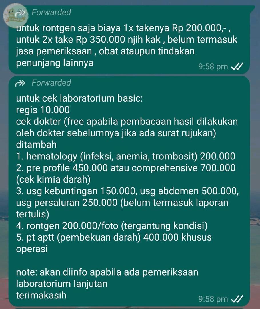 KochengFess v2 tweet media