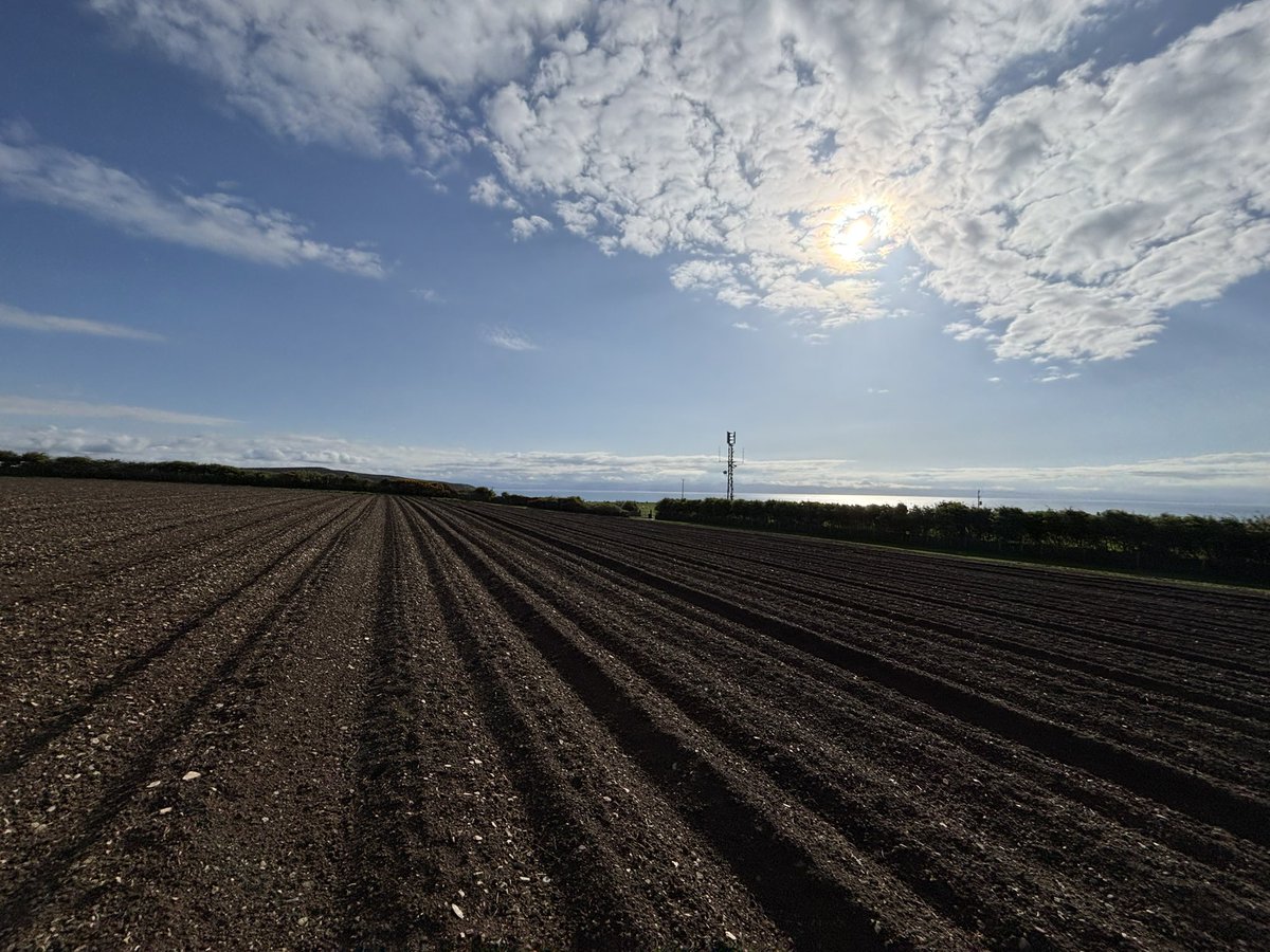 Agronomysilvers's tweet image. Out and about with Chris today checking on crops in Abersoch 🏴󠁧󠁢󠁷󠁬󠁳󠁿 and happy to report crops are looking tremendous @AgriiUK #springbarley #wheats #barley #potatoes #agranddayout