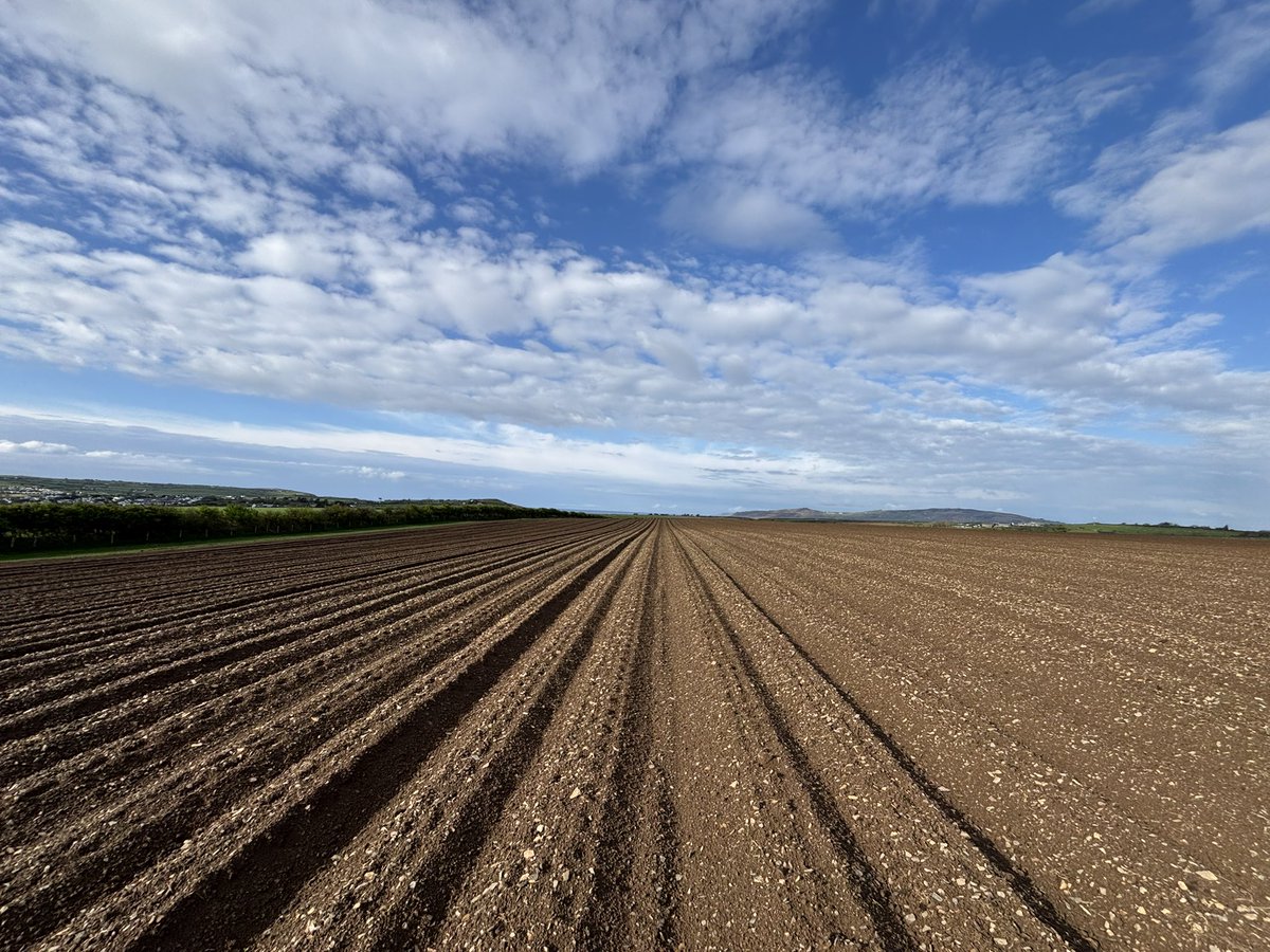Agronomysilvers's tweet image. Out and about with Chris today checking on crops in Abersoch 🏴󠁧󠁢󠁷󠁬󠁳󠁿 and happy to report crops are looking tremendous @AgriiUK #springbarley #wheats #barley #potatoes #agranddayout
