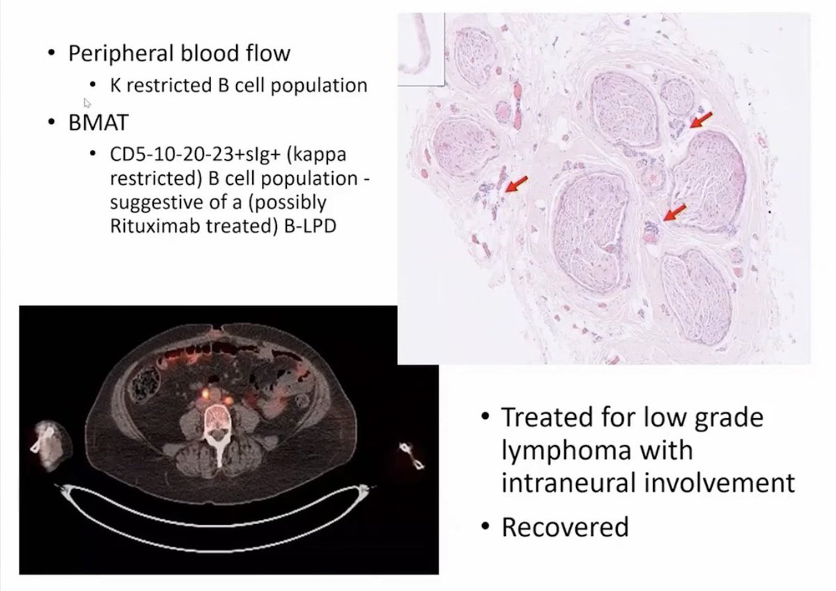 Rheuma Doc tweet media