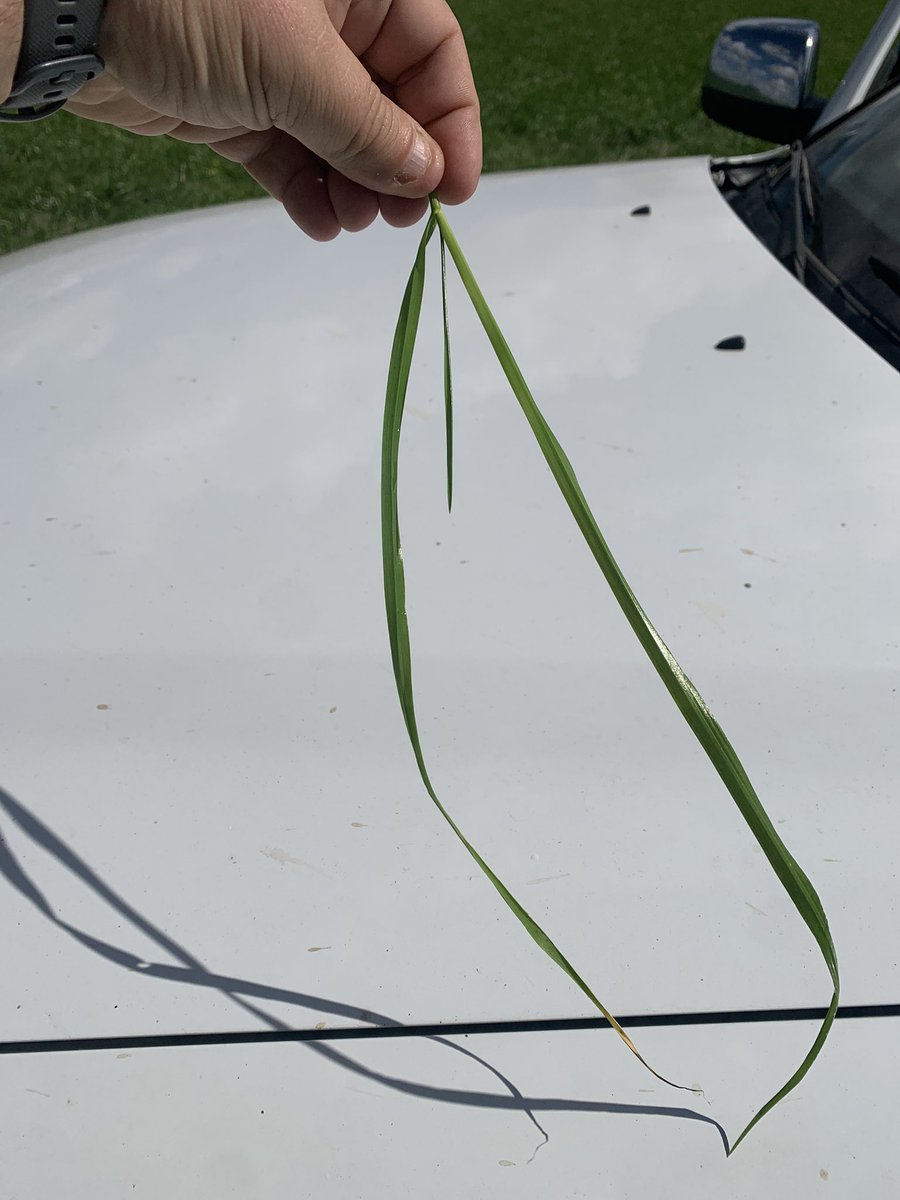 Otro comienzo! Qué abril!!!