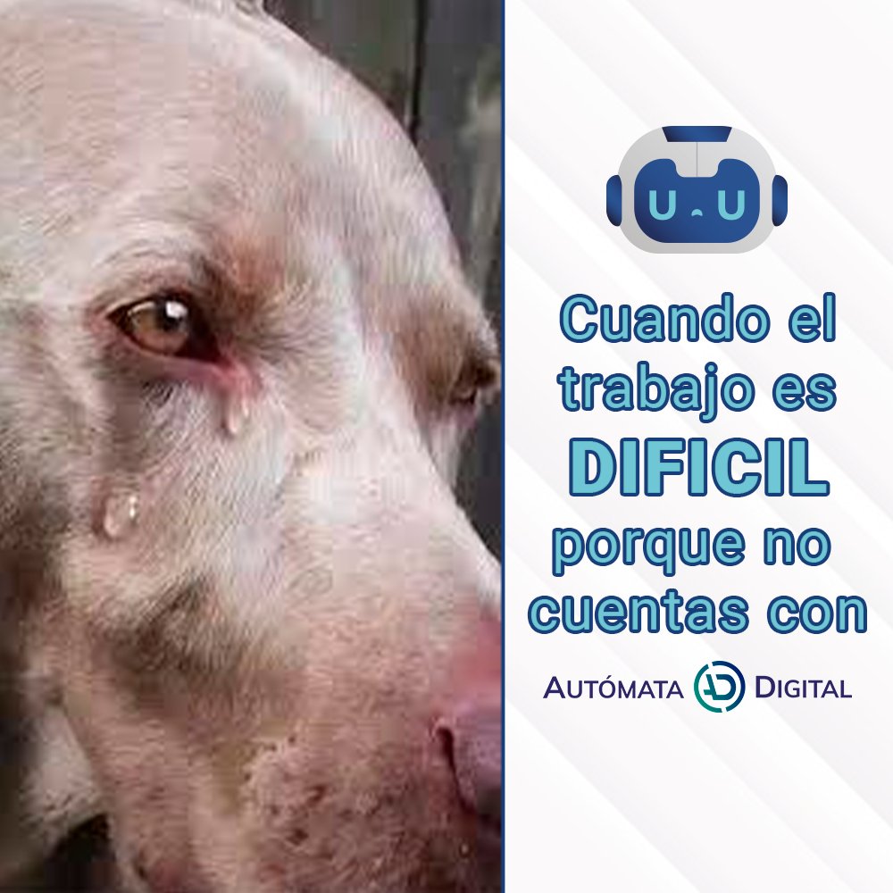 AutomataDg20's tweet photo. ¿Por qué se complican si la solución es tan fácil?
https://t.co/zWXDGh5DKt https://t.co/AUZ3mXpo7I