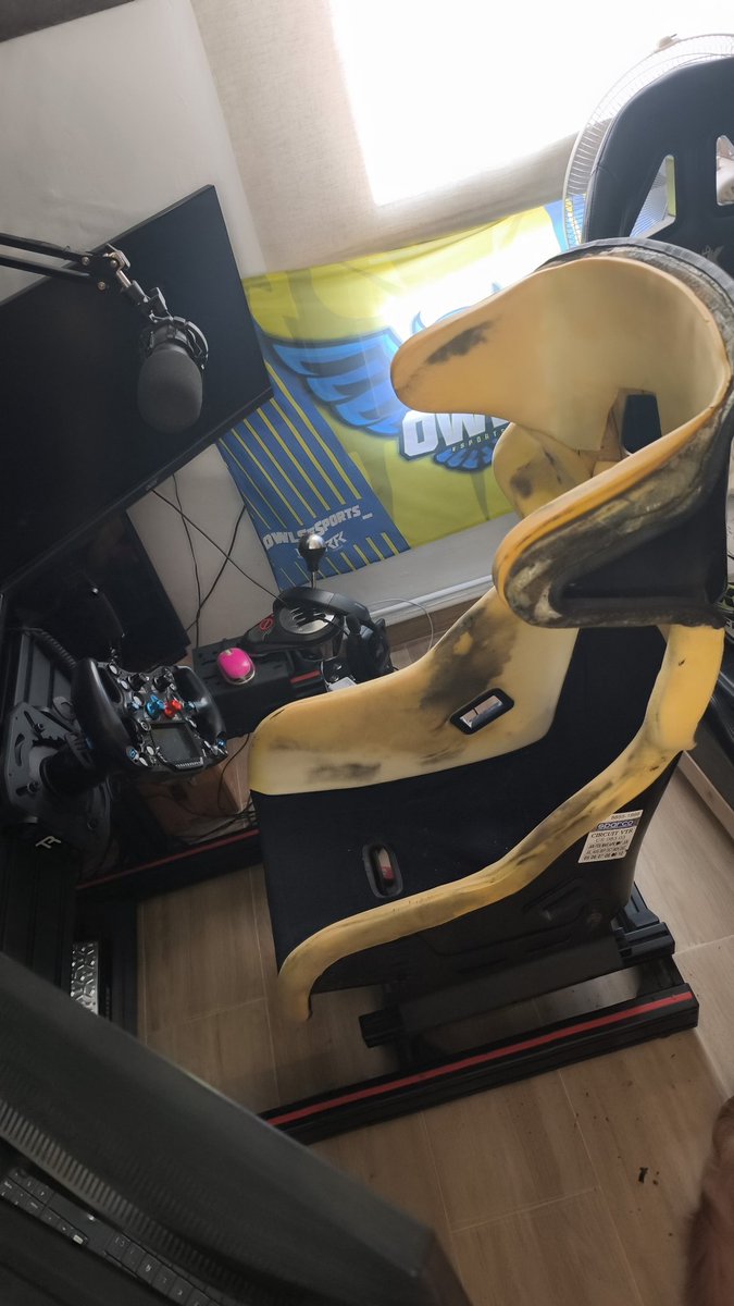 MNeila (@mneila_) on Twitter photo Creo que ya era hora de quitar las pulgas al asiento 🙄
#simracing Creo que ya era hora de quitar las pulgas al asiento 🙄
#simracing