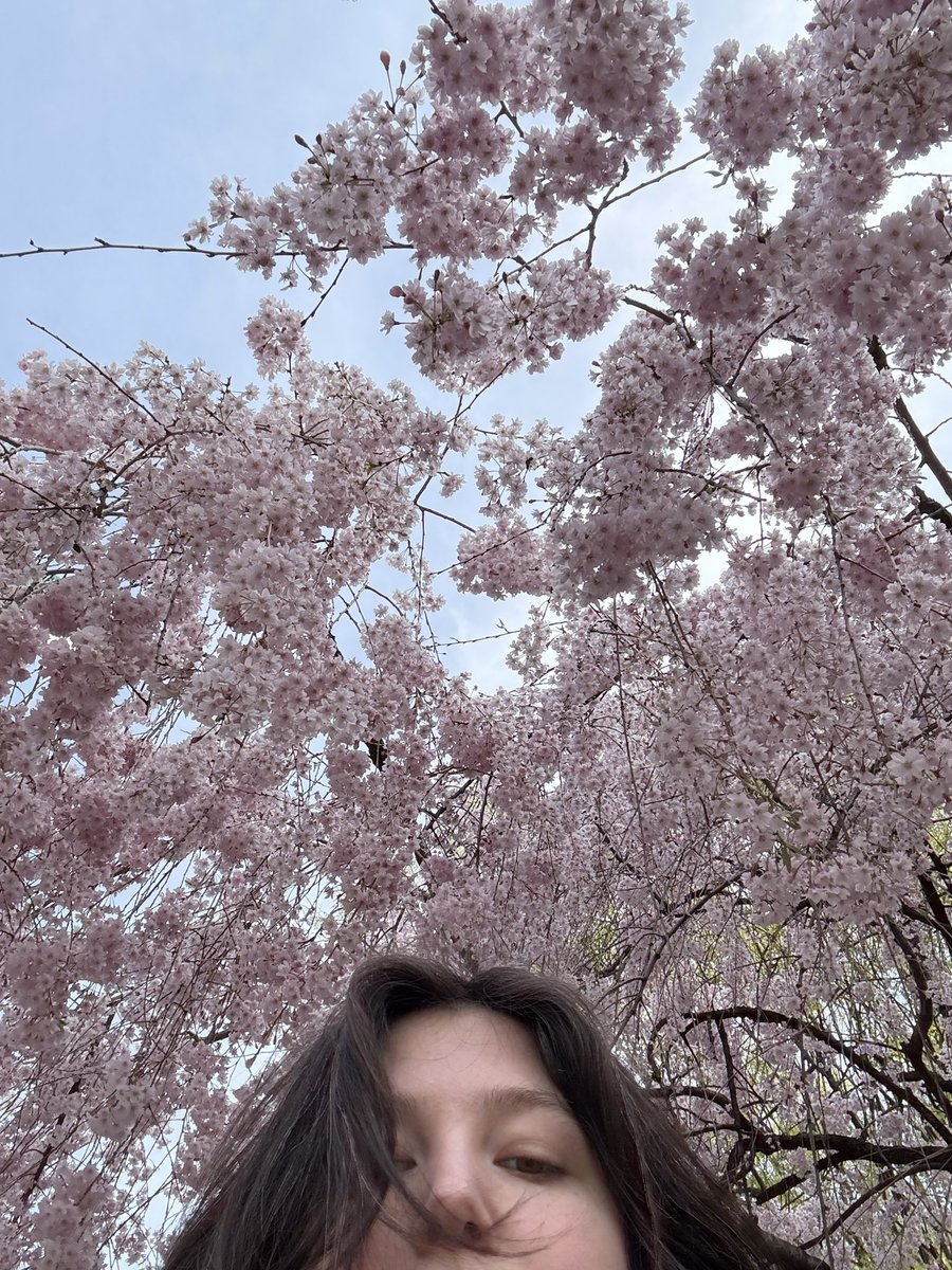 tour starts tonight, got long winded on ig