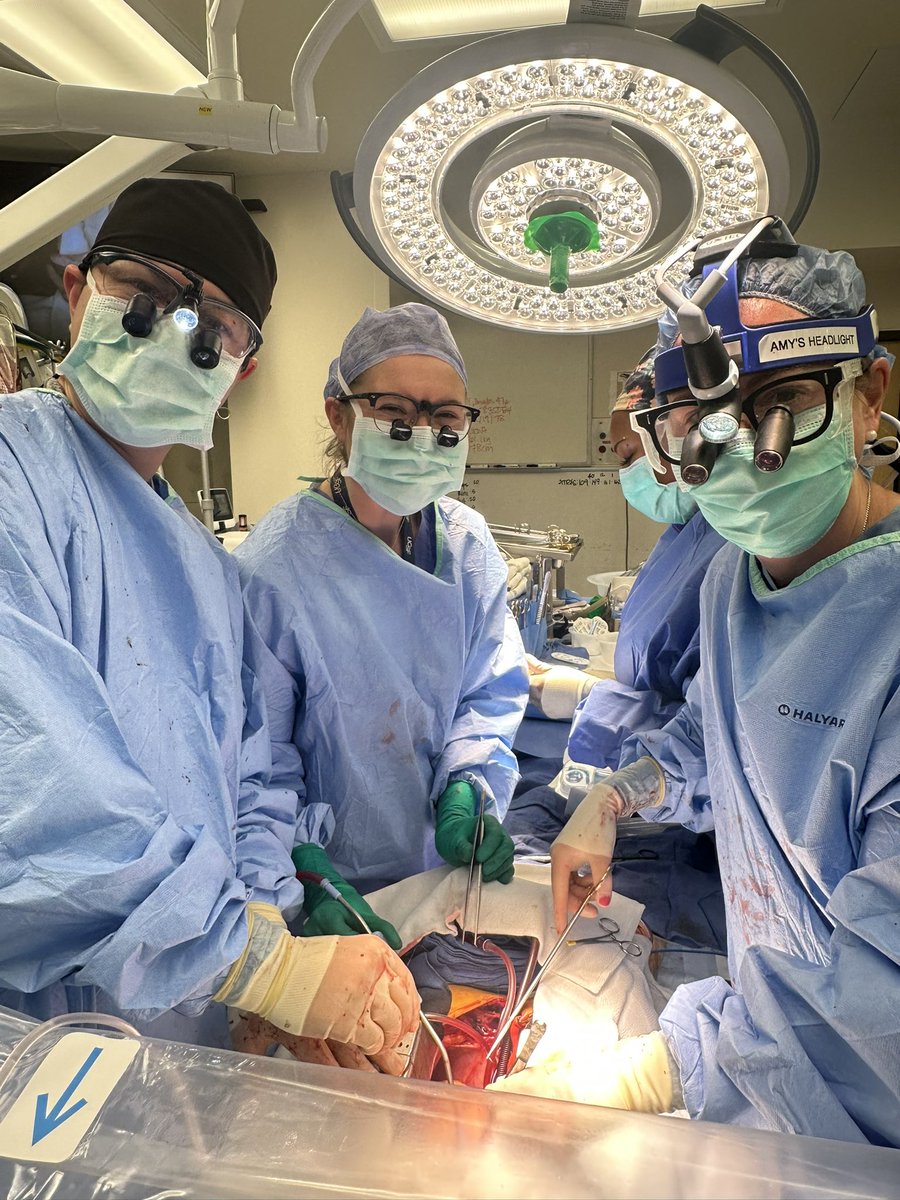 Amy G. Fiedler, MD (@fiedleramy) on Twitter photo Love teaching heart surgery to the next generation of academic cardiac surgeons! <a href="/UCSFHospitals/">UCSF Health</a> <a href="/UCSFSurgery/">UCSF Surgery</a> Love teaching heart surgery to the next generation of academic cardiac surgeons! <a href="/UCSFHospitals/">UCSF Health</a> <a href="/UCSFSurgery/">UCSF Surgery</a>