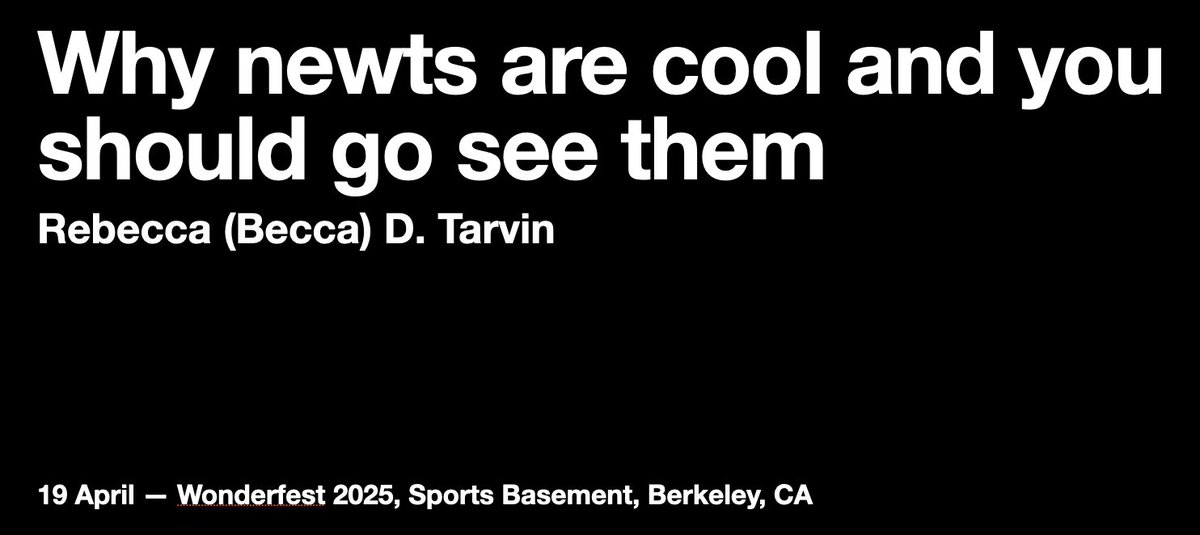 Dr. Rebecca (Becca) Tarvin 🐸 ☠️ 🐍 💚🪰 (@frogsicles) on Twitter photo This Saturday, the California National Geographic Explorer's Hub is putting on an event in collaboration with <a href="/SportsBasement/">Sports Basement</a> and @NerdNiteSF! There will be >20 lightning talks about all sorts of things! Click here to learn more and RSVP: sites.google.com/view/wonderfes… This Saturday, the California National Geographic Explorer's Hub is putting on an event in collaboration with <a href="/SportsBasement/">Sports Basement</a> and @NerdNiteSF! There will be >20 lightning talks about all sorts of things! Click here to learn more and RSVP: sites.google.com/view/wonderfes…