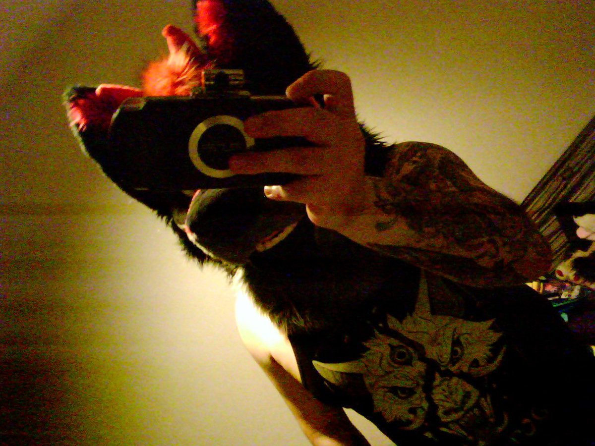 maw munch 🗡️ @ FE 🇨🇦 tweet media