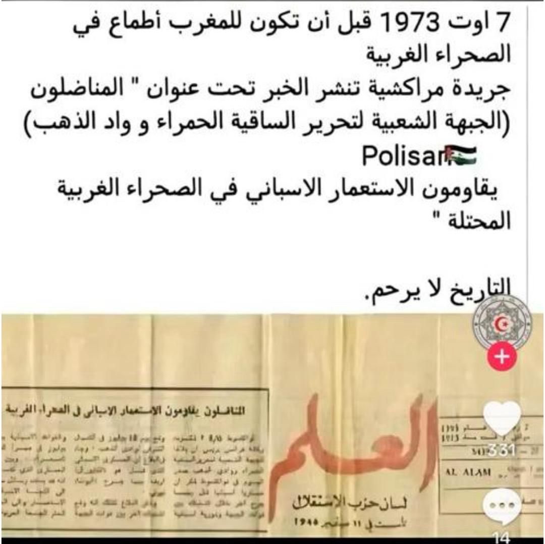أحمد حفصي || HAFSI AHMED tweet media