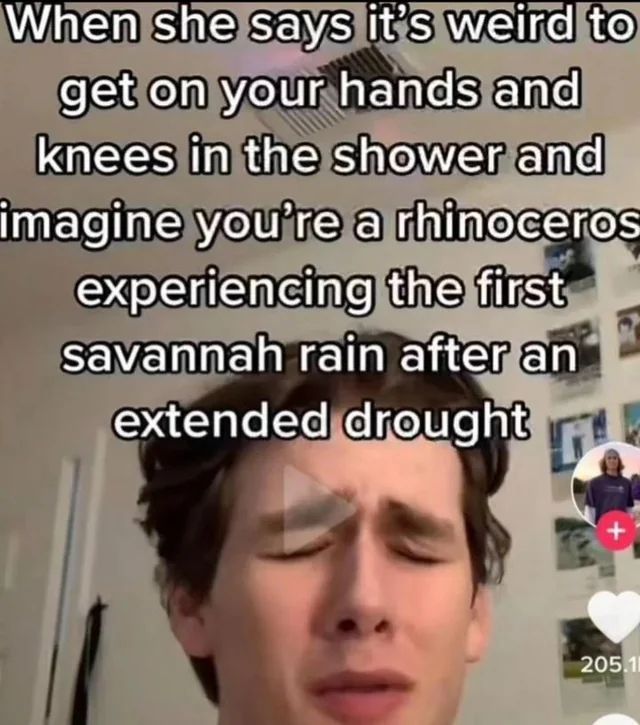 hourly_shitpost's tweet photo. https://t.co/yBolWGsxv0