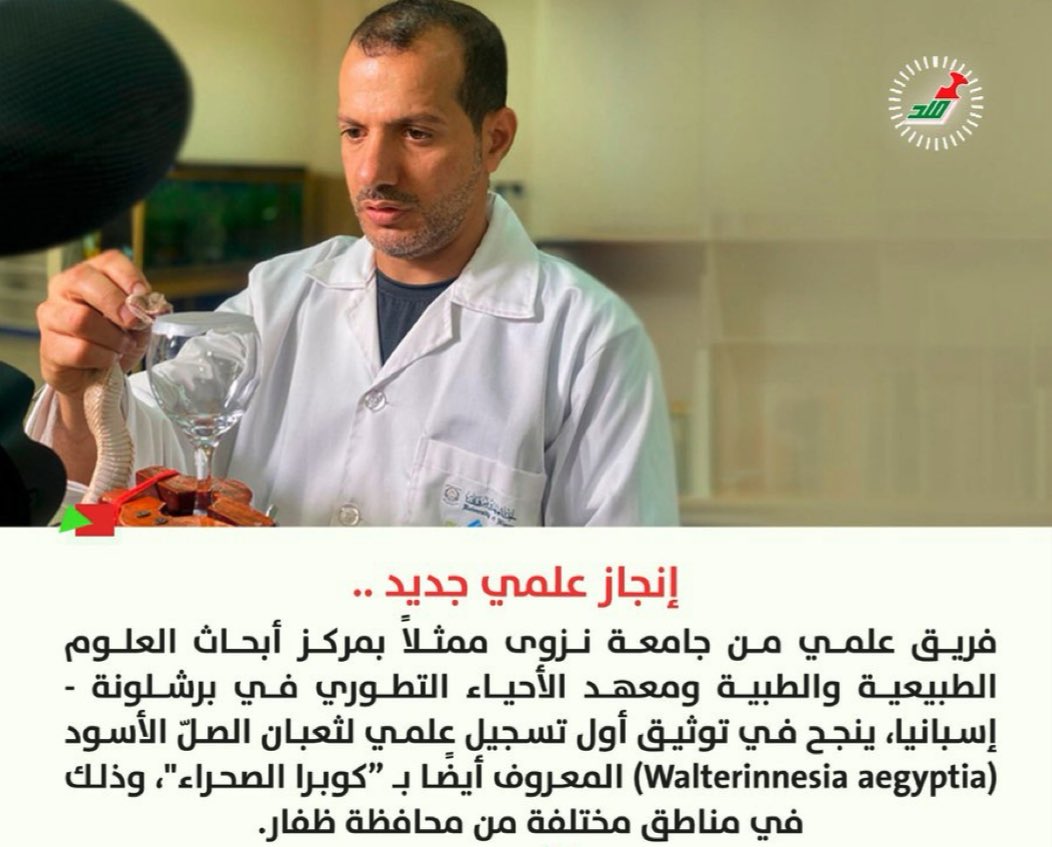 🔴 في إنجاز علمي جديد.. توثيق "كوبرا الصحراء" لأول مرة في سلطنة عُمان