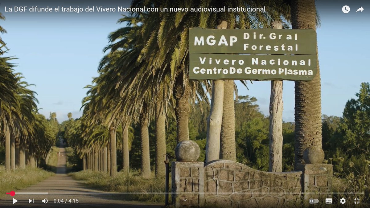 MGAP tweet media