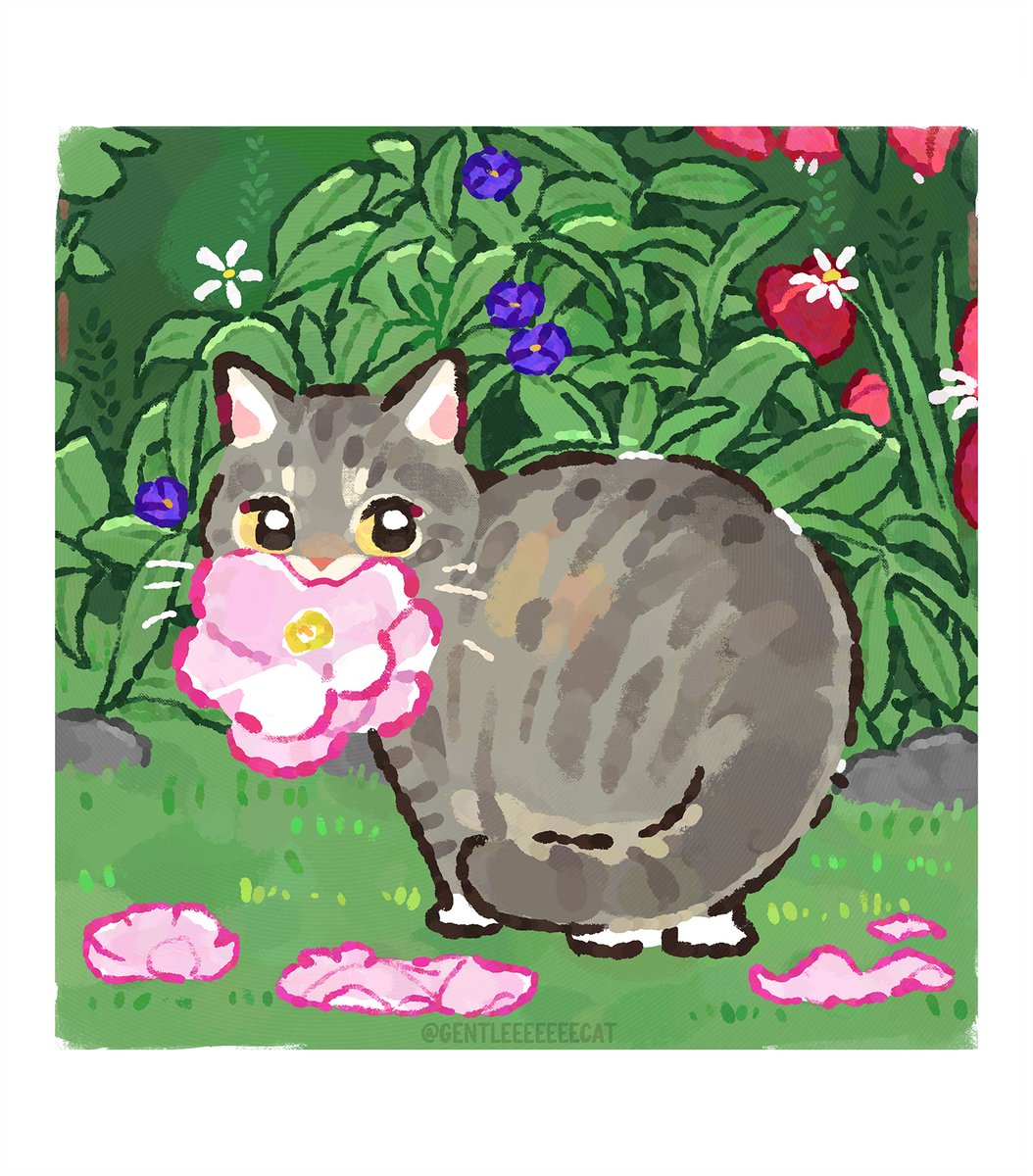 gentleeeeeeecat's tweet photo. https://t.co/jCqvRvf7CU