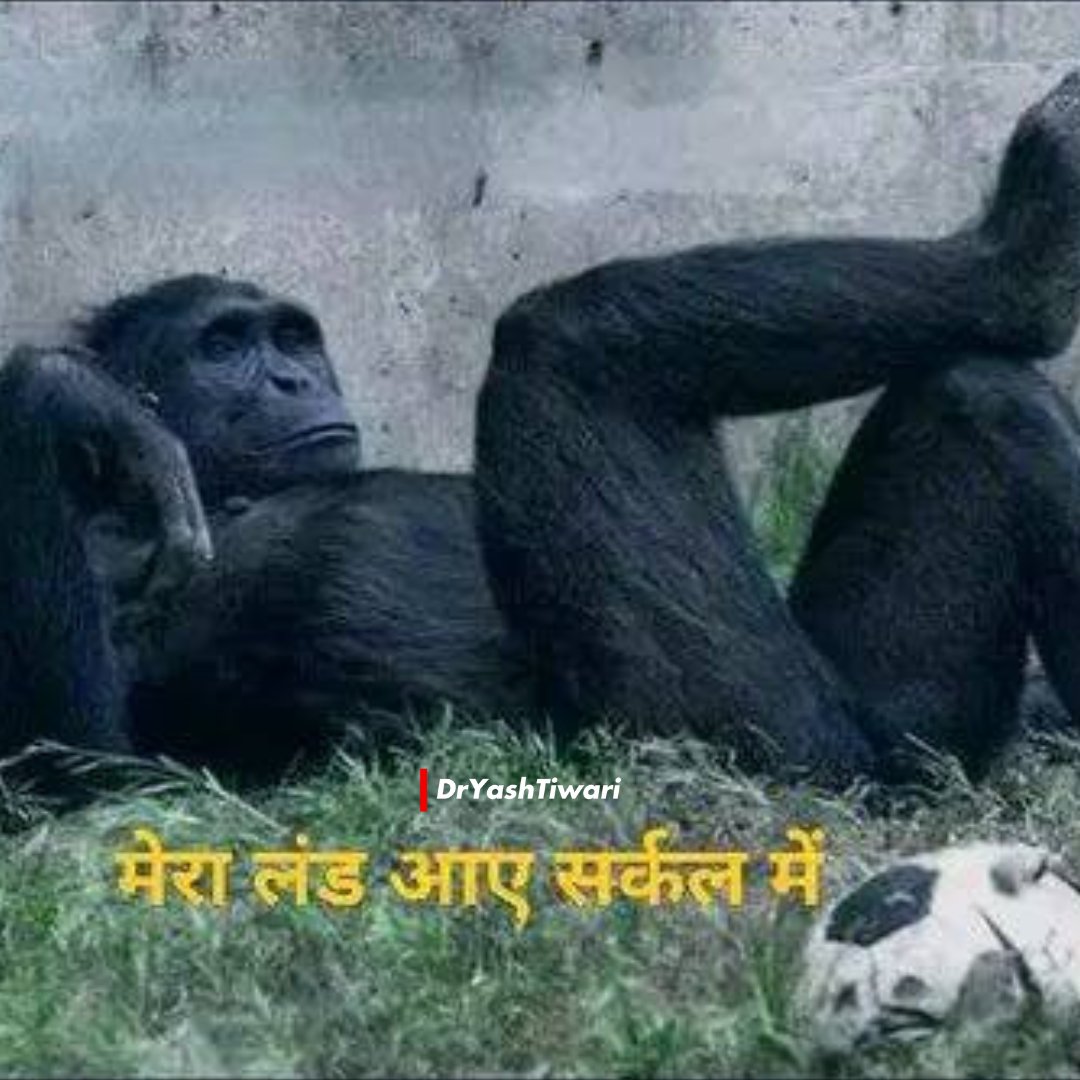 dryashtiwari's tweet photo. My honest reply to #MyCircle11 :
#IPL2025 | #DCvsRR https://t.co/zPMUWetYBn