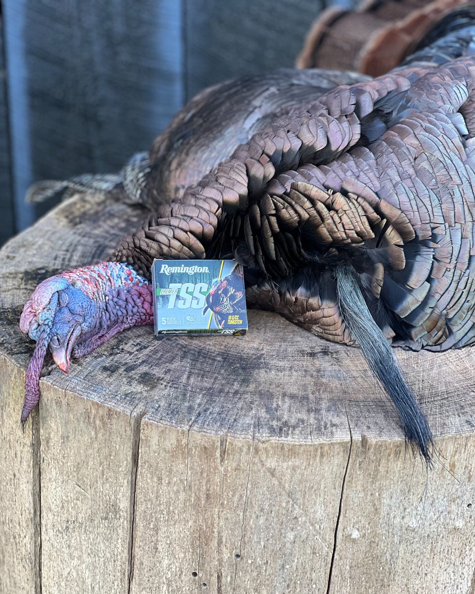 RemingtonArms's tweet photo. Remington TSS taking doubles by our partners at @log_still! #RemingtonCountry https://t.co/1bbOJfF4yp