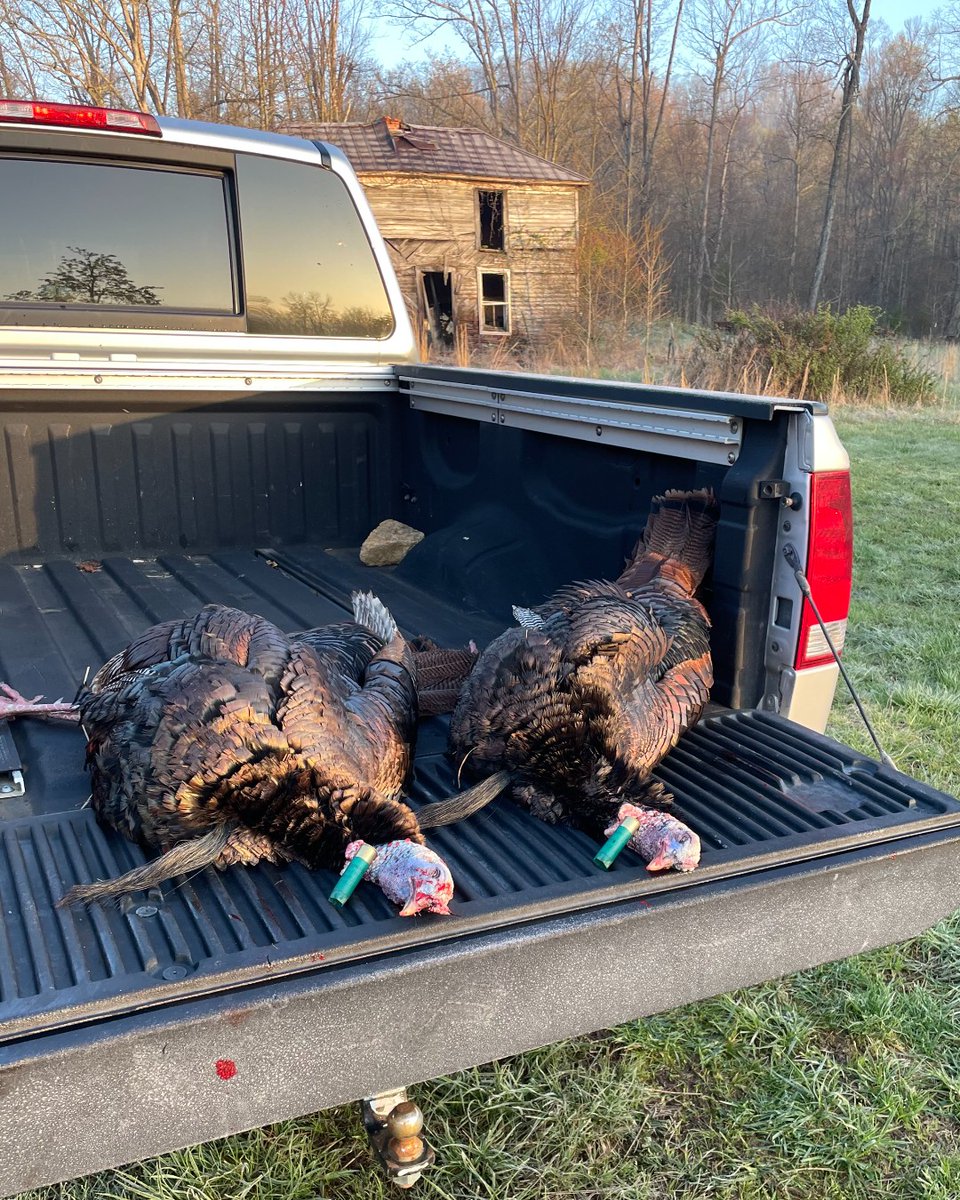 RemingtonArms's tweet photo. Remington TSS taking doubles by our partners at @log_still! #RemingtonCountry https://t.co/1bbOJfF4yp