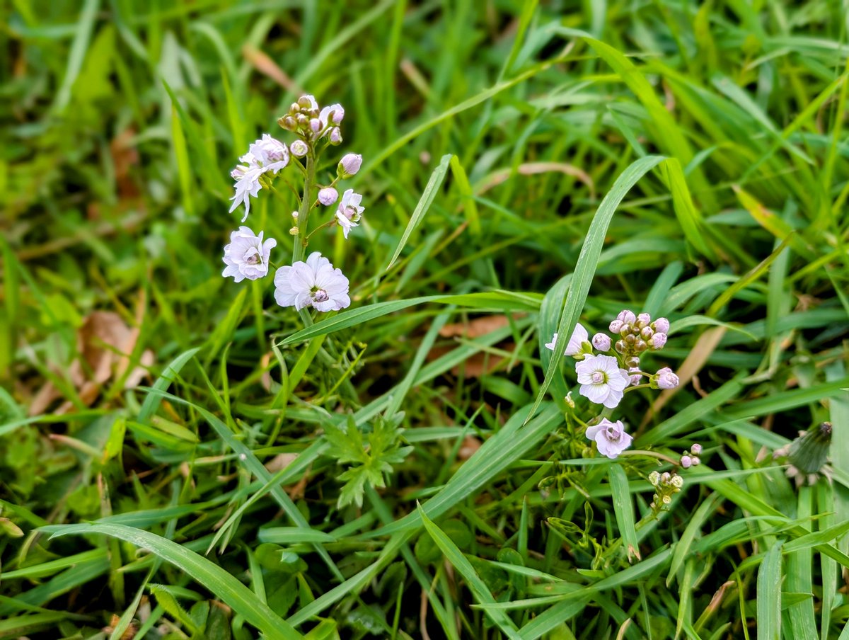 Sandhill House Country Retreat tweet media