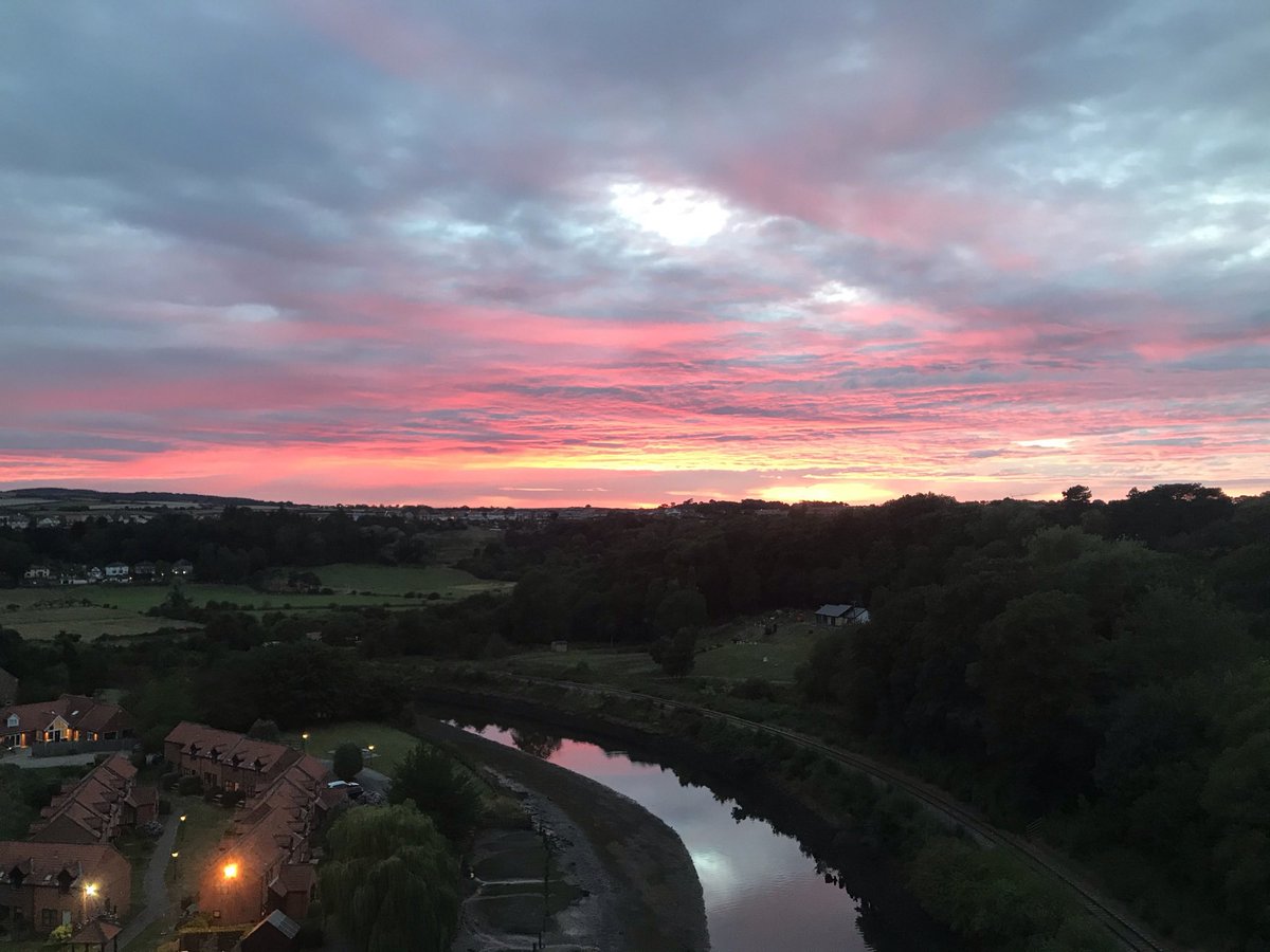 Phil Trumper tweet media