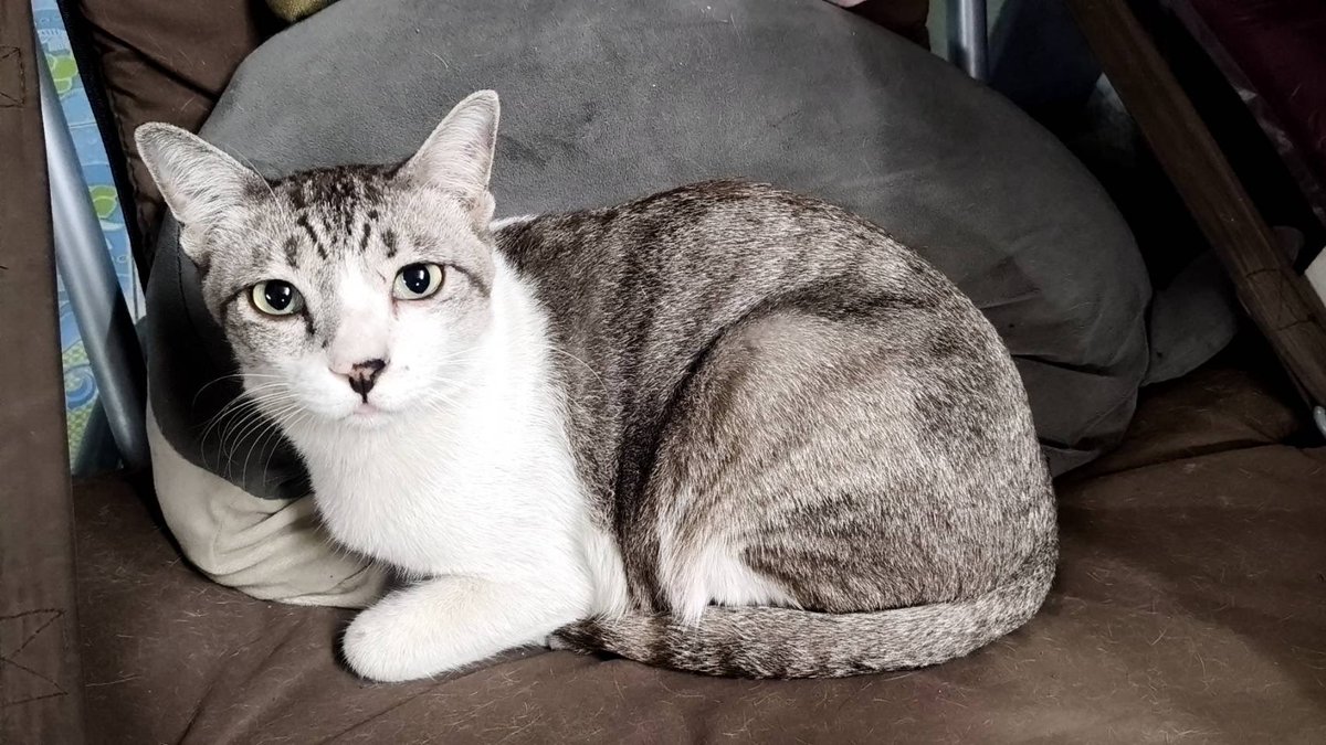 Waro (@lovewaro30) on Twitter photo 