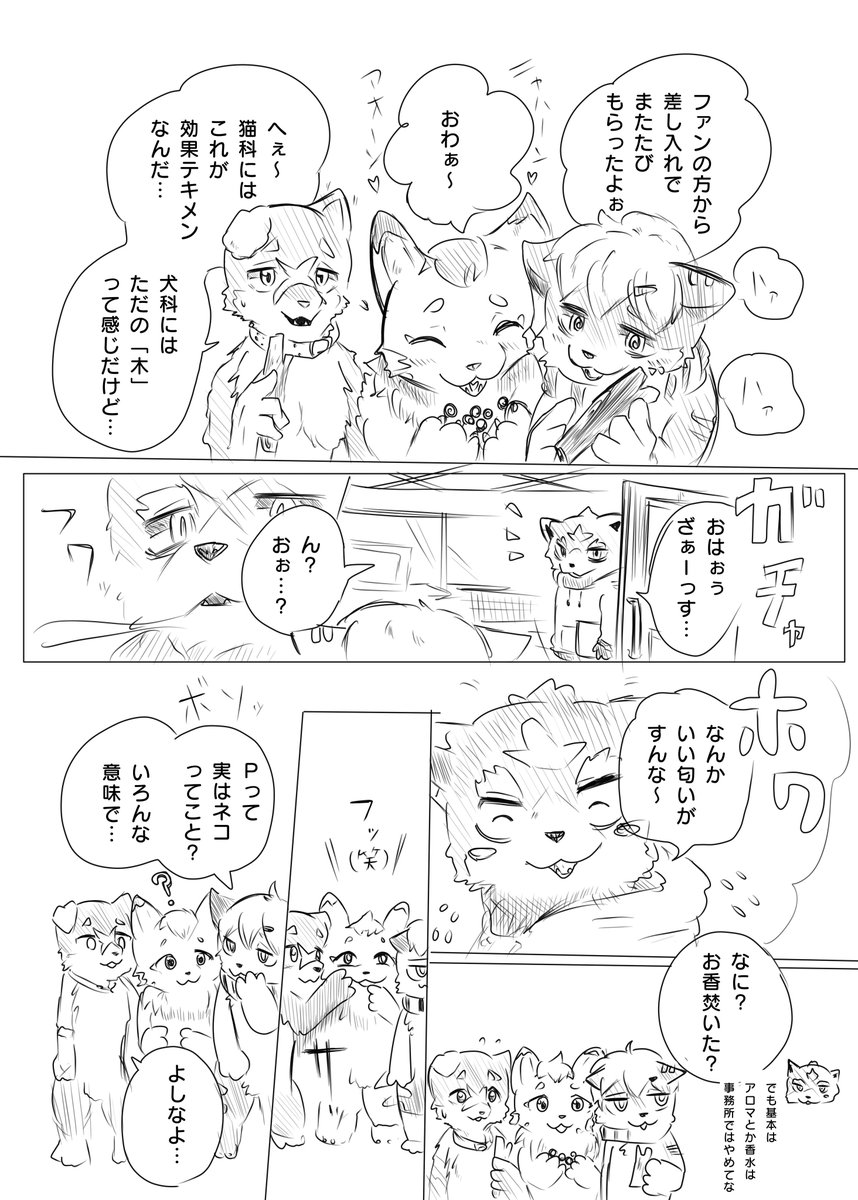 🐱 