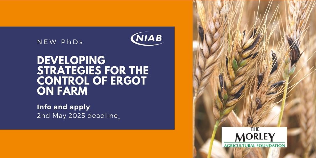 Niab (@niabgroup) on Twitter photo NEW PhD opportunity - 2 May deadline. Niab & <a href="/plantsci/">Department of Plant Sciences</a> announce a fully-funded, 4 year doctoral studentship, start date October 2025, funded by The Morley Agricultural Foundation (TMAF) niab.com/sites/default/… #plantsatcambridge #PhDposition #plantpathology NEW PhD opportunity - 2 May deadline. Niab & <a href="/plantsci/">Department of Plant Sciences</a> announce a fully-funded, 4 year doctoral studentship, start date October 2025, funded by The Morley Agricultural Foundation (TMAF) niab.com/sites/default/… #plantsatcambridge #PhDposition #plantpathology
