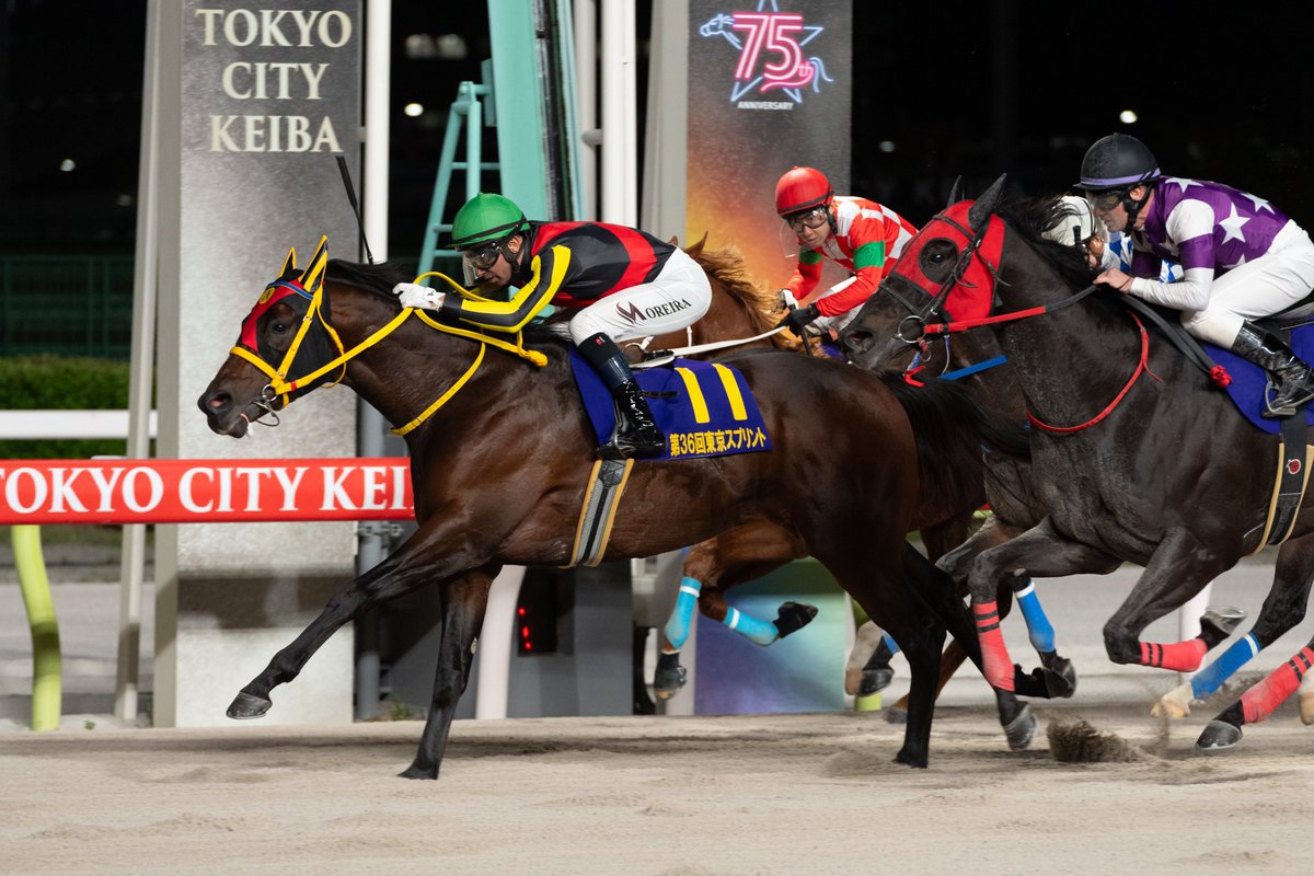 第36回 #東京スプリント (JpnⅢ) の優勝馬はJRAの #エートラックス (J