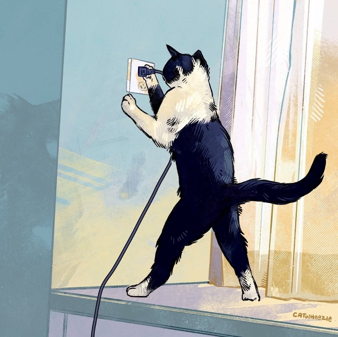 catwheezie's tweet image. Why is my electrician wearing his pants that high up. What a nerd