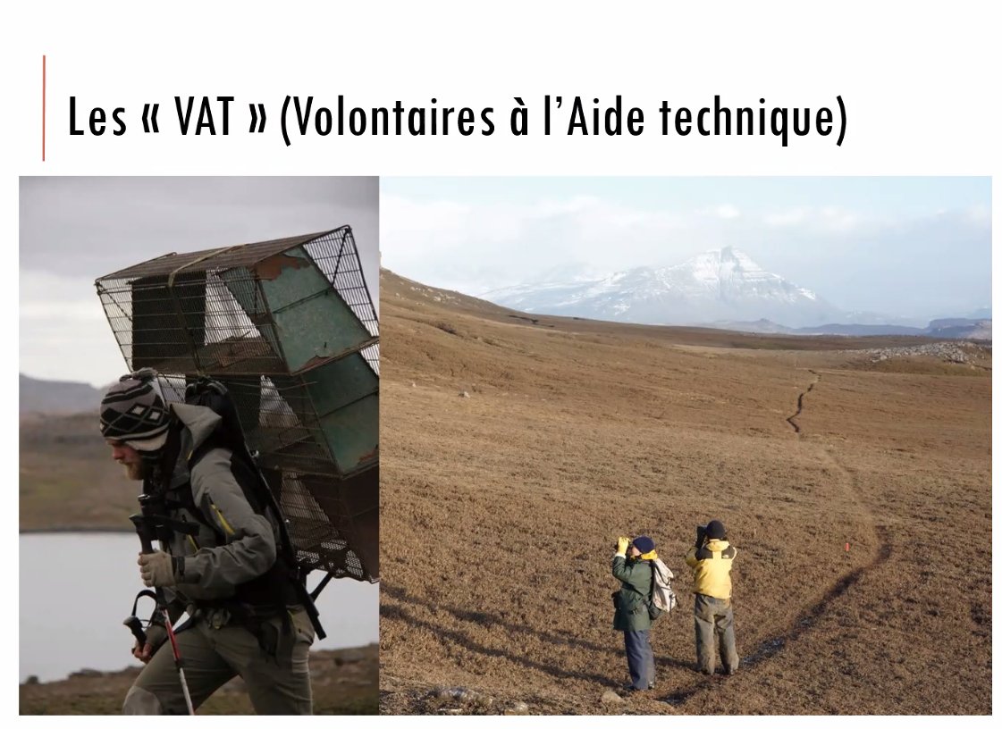 Master CCST Grenoble tweet media