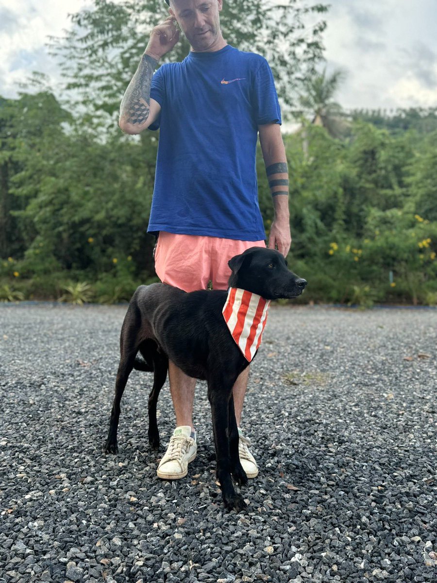 Larry is the strangest rescue we’ve ever had. 

He is a sandwich short of a picnic. He is also an absolute gentleman. 

6 months ago I rescued him on the streets of Thailand. Today he left on the journey of a lifetime… (1/10) 🧵