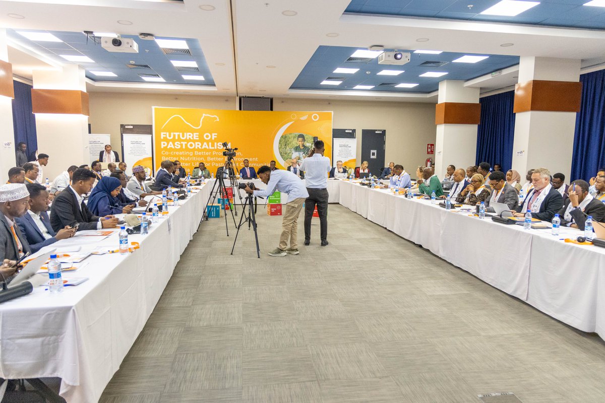 FAO in Somalia (@faosomalia) on Twitter photo 📢With <a href="/MoLFR_Somalia/">Minstry Of Livestock</a> and partners, we launched #FutureOfPastoralism to deliver the #4Betters for #Somali 🇸🇴pastoralists:
✅ Better Production
✅ Better Nutrition
✅ Better Environment
✅ Better Life
Join our journey to climate #Resilience!
Read more👉bit.ly/42vA2cX 📢With <a href="/MoLFR_Somalia/">Minstry Of Livestock</a> and partners, we launched #FutureOfPastoralism to deliver the #4Betters for #Somali 🇸🇴pastoralists:
✅ Better Production
✅ Better Nutrition
✅ Better Environment
✅ Better Life
Join our journey to climate #Resilience!
Read more👉bit.ly/42vA2cX