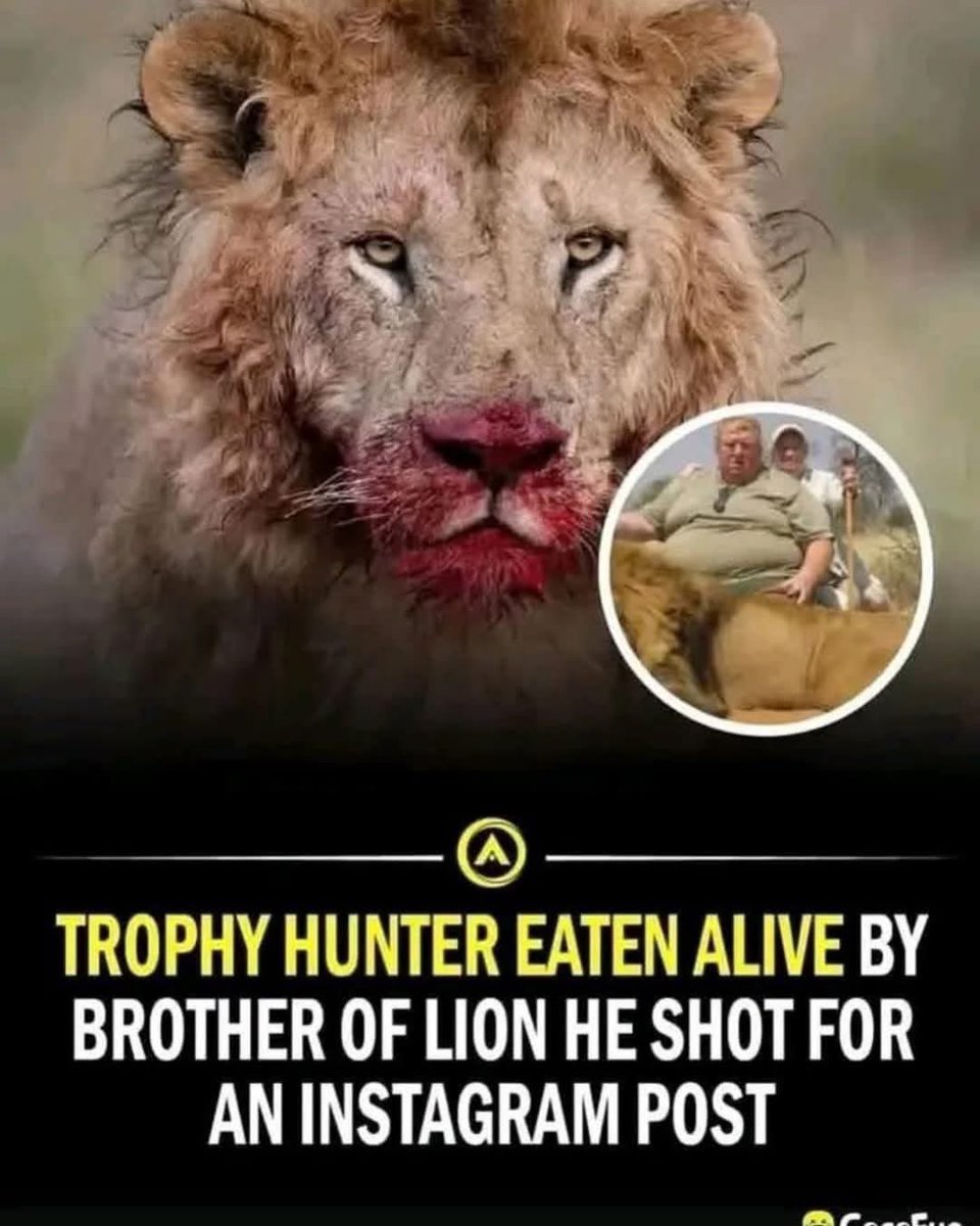 Protect_Wldlife's tweet image. Oh Dear, How Sad, Never Mind!!

Trophy hunters put the CON in conservation 😡.

#BanTrophyHunting NOW!! 🚫