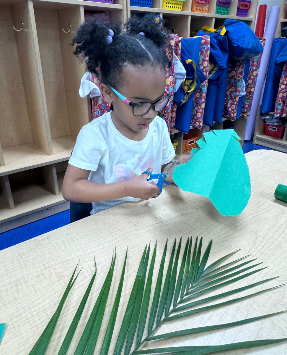 Woodland Presbyterian School tweet media