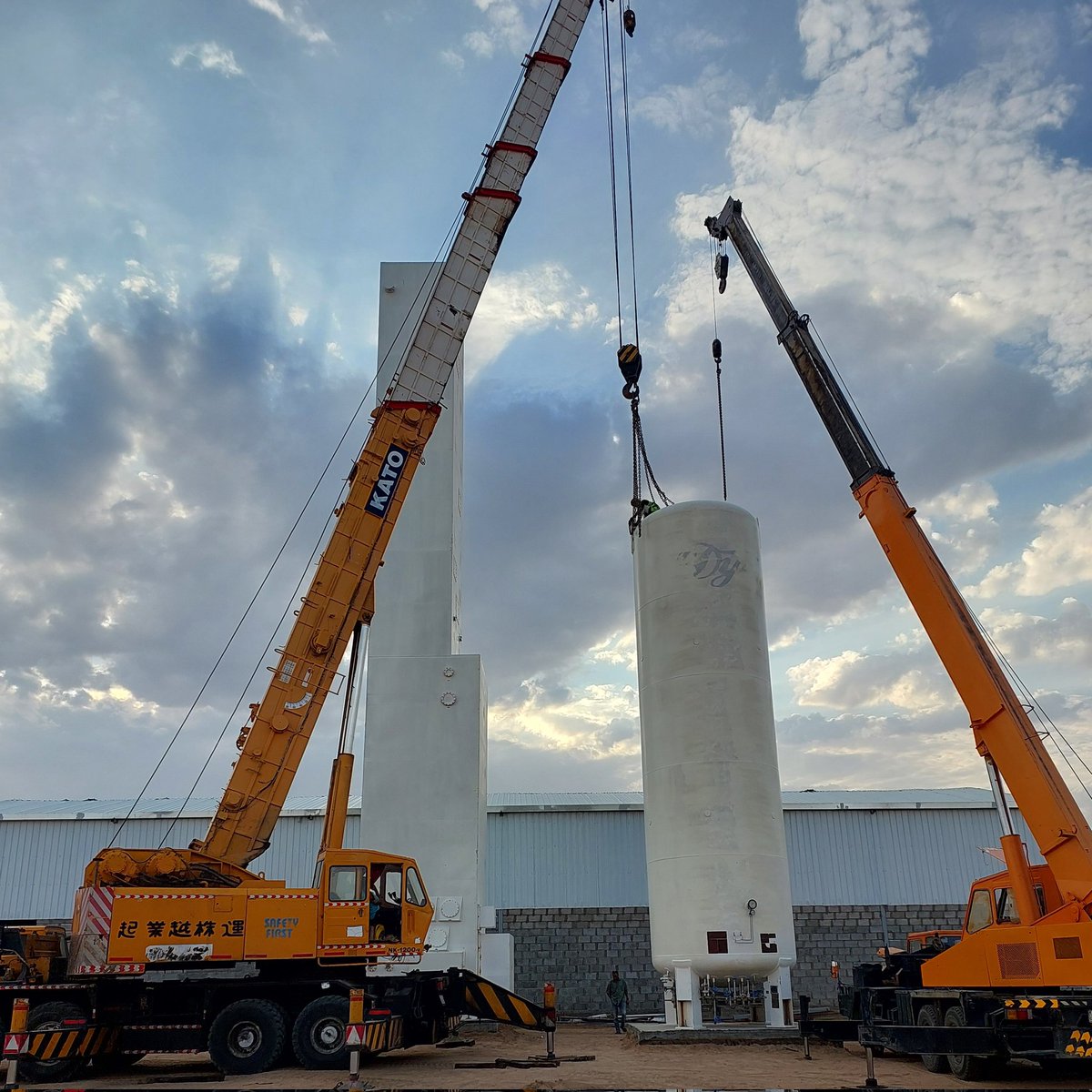 CryptoZool_SD's tweet image. #NewProfilePic