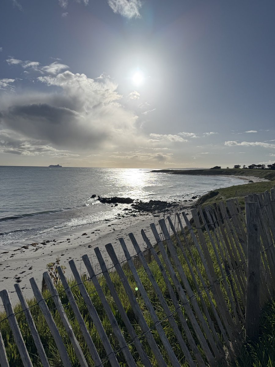 Pascal Boniface tweet media