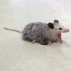 HatherzJr's tweet photo. spotify is down, i repeat, spotify is down https://t.co/tN2m2HUbSI